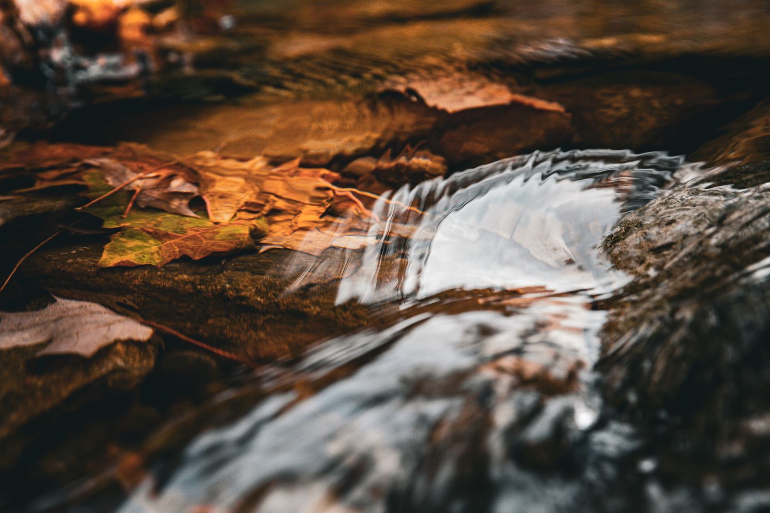 Close-up of rushing water cascading over rocks in a stream with warm sunset lighting.