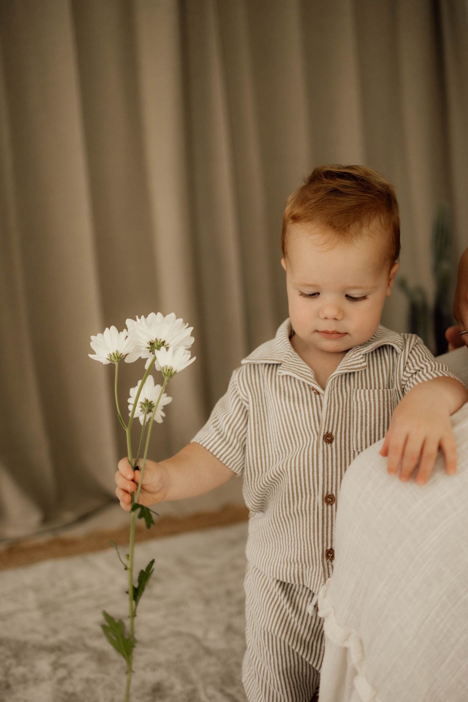 Toddler in striped outfit holding white daisy flowers, standing on a gray carpet near neutral curtains.
