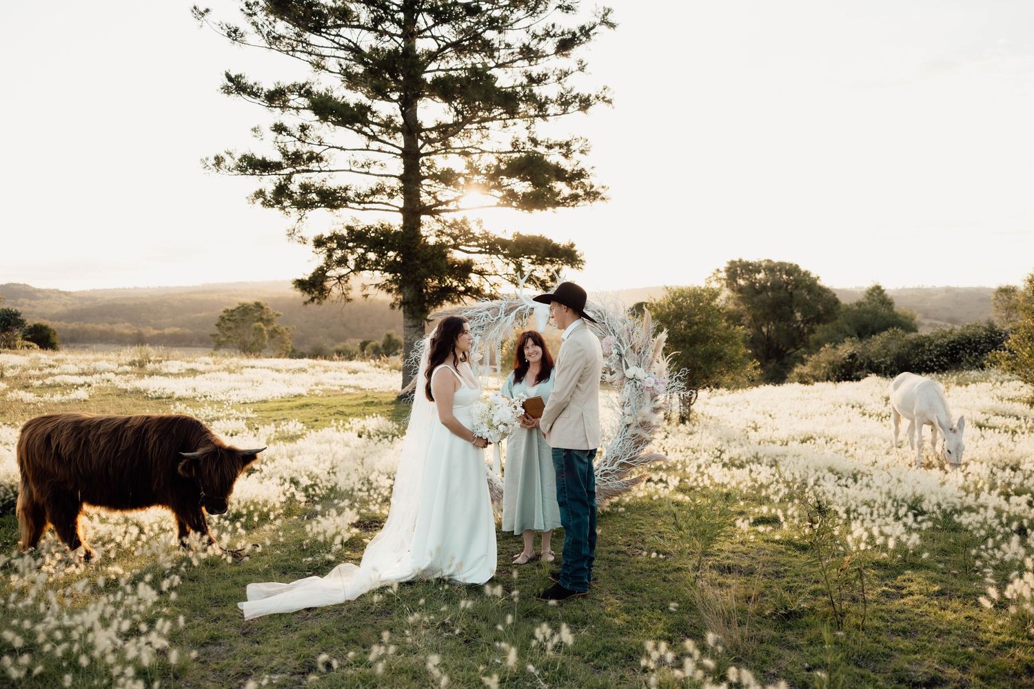 Couple exchanges vows in a sunlit wildflower field with cattle and horses, creating a dreamy outdoor wedding ceremony.