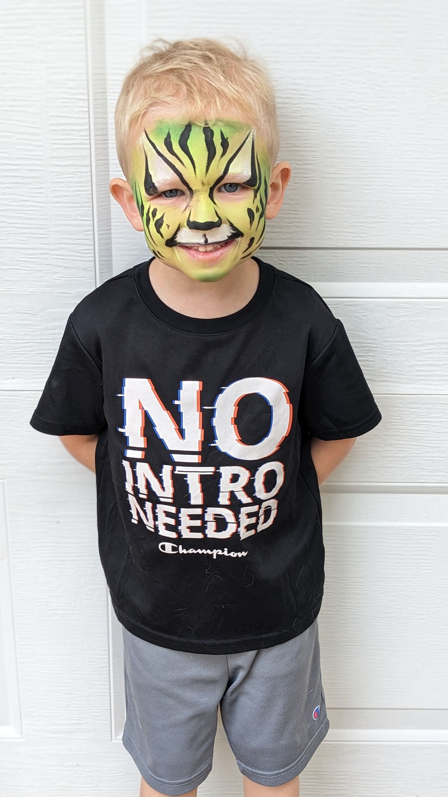 Face Painter Plain City, Columbus, Ohio
