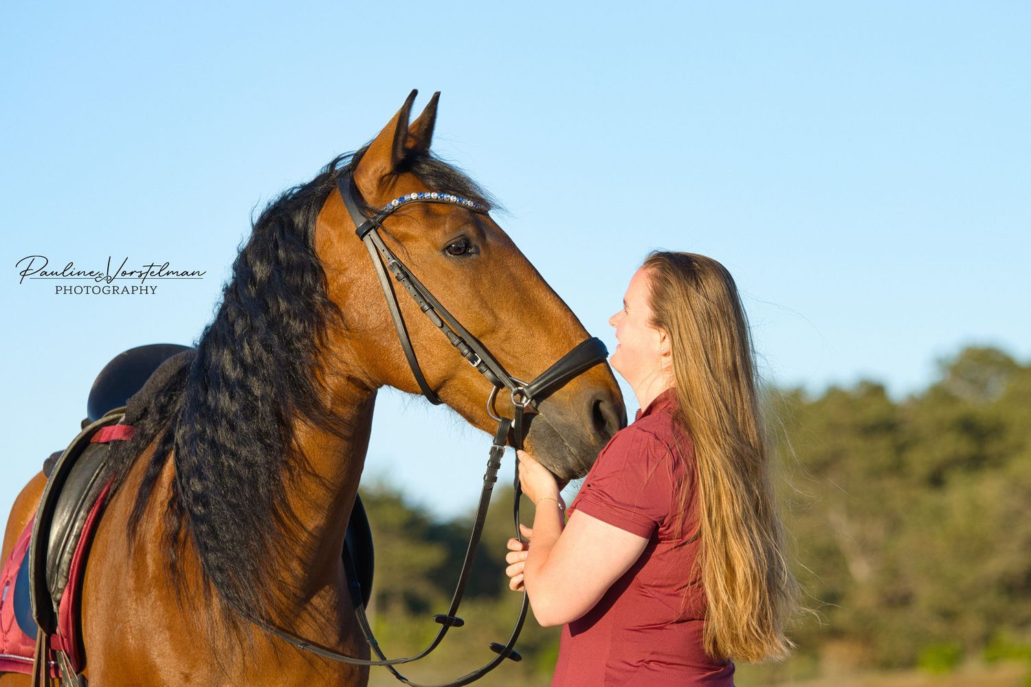 Een liefdevolle blik, een stille band – samen met je paard zoals jullie écht zijn