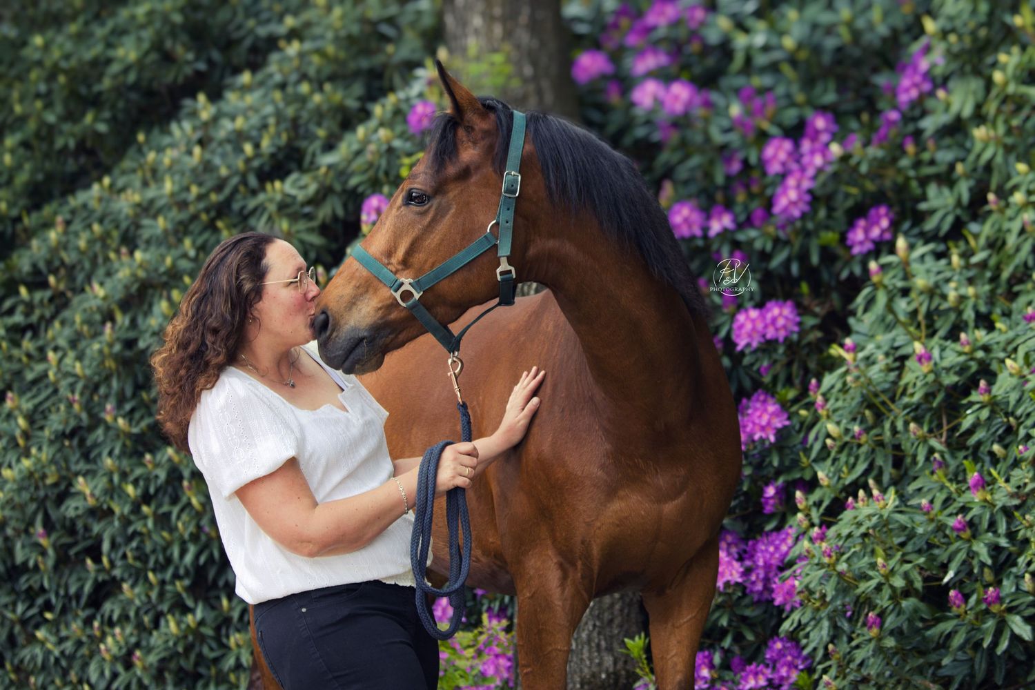 Van zachte aanraking tot speelse blik – elk moment telt met je paard