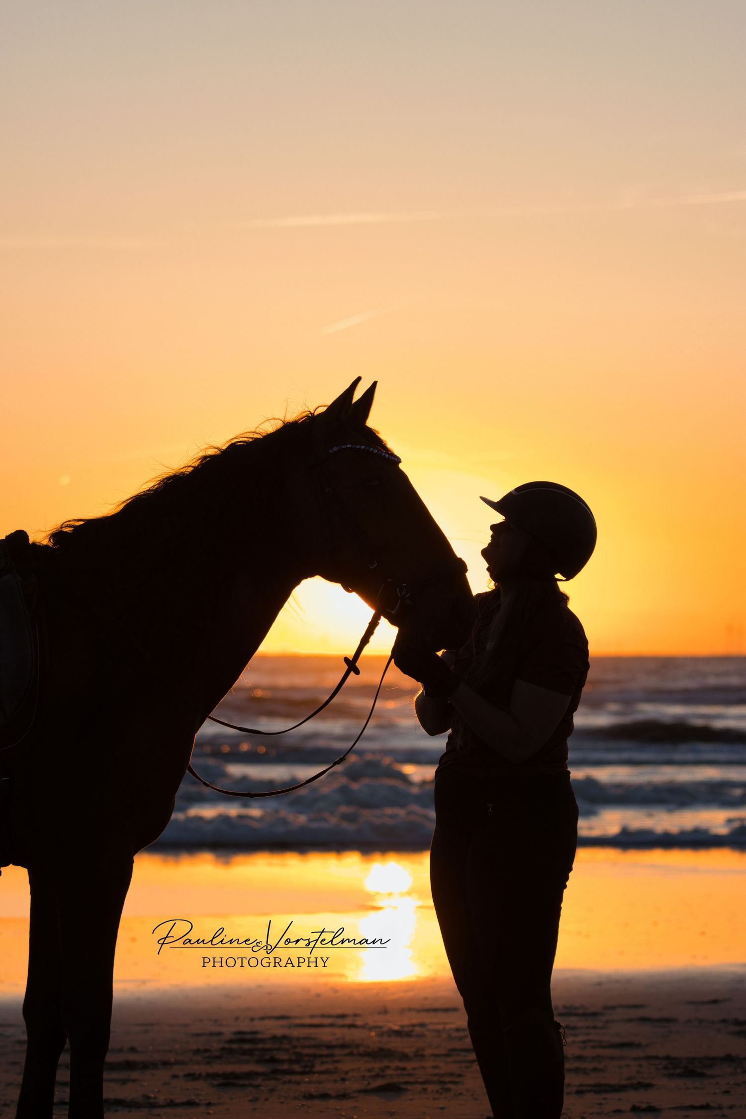 Warmte, rust en puur geluk – samen met je paard in het gouden uur