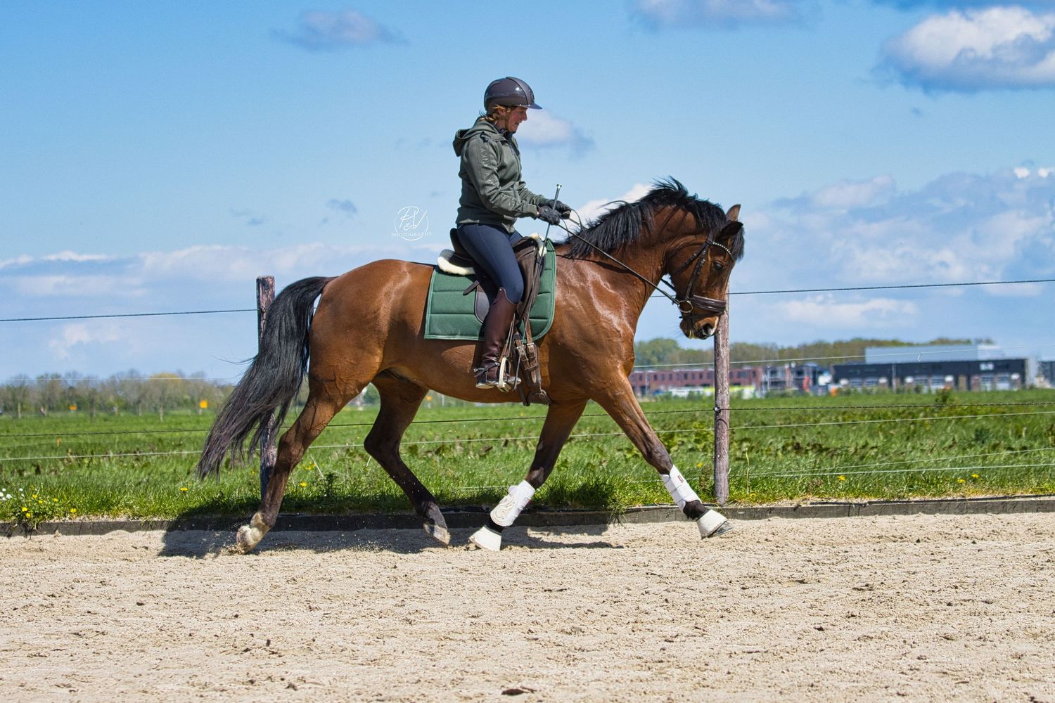 In harmonie met je paard – een moment vol rust, respect en liefde
