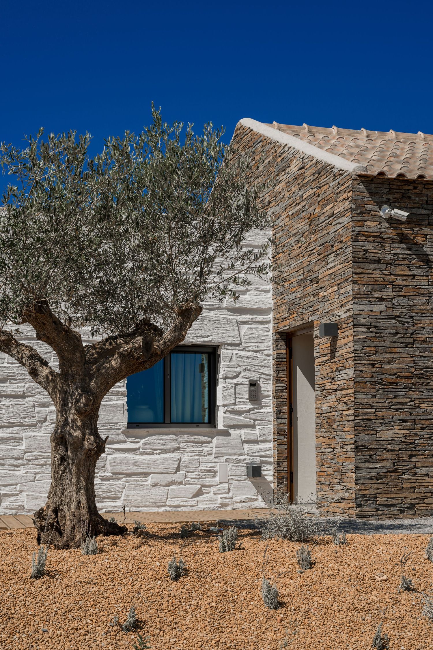 Ancient olive trees planted alongside white and stone facade of Mediterranean villa in the Algarve, by Parallel Studios