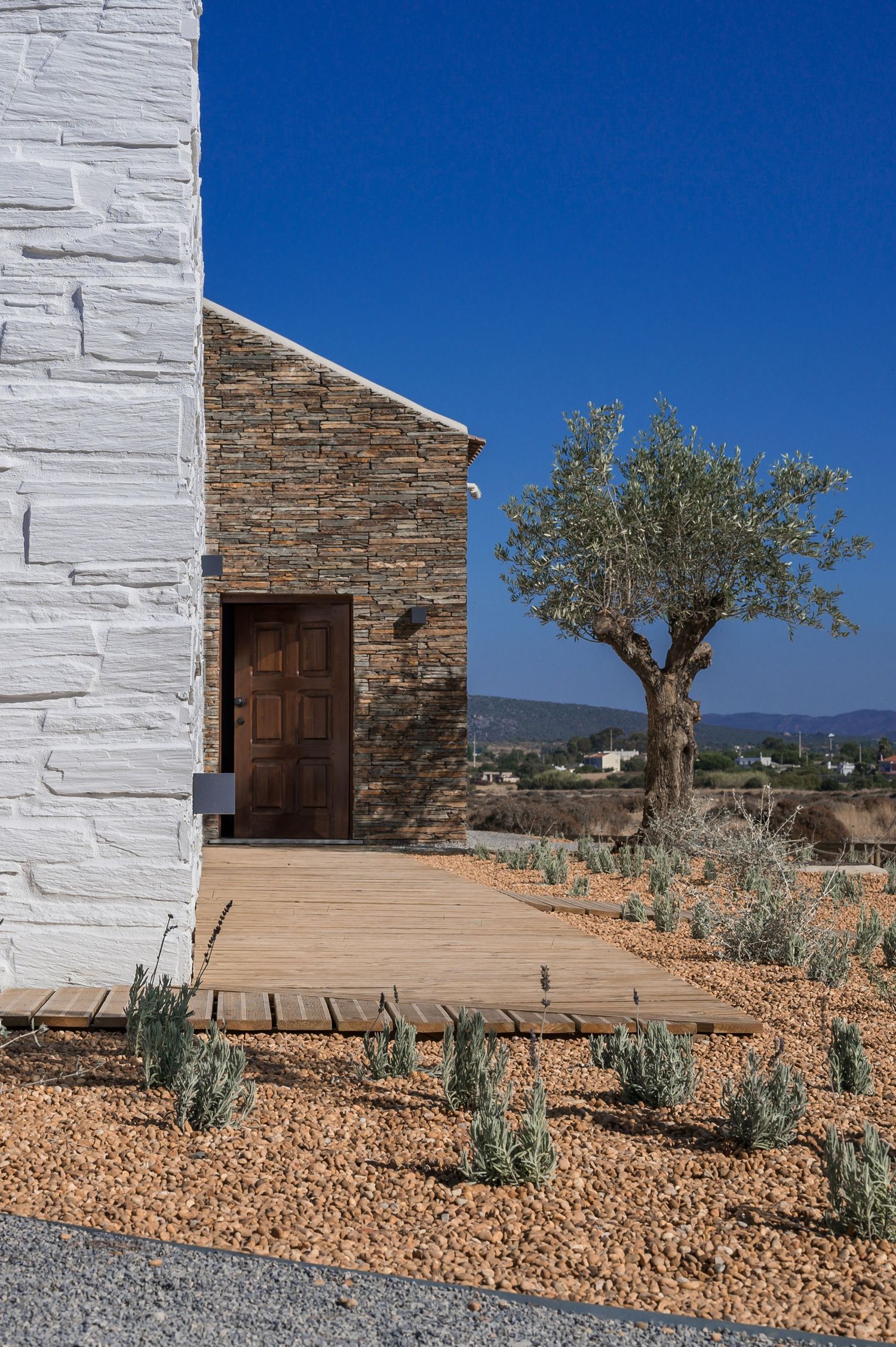 Mediterranean-style building exterior with white stone walls and olive trees against blue sky in the Algarve, by Parallel Studios