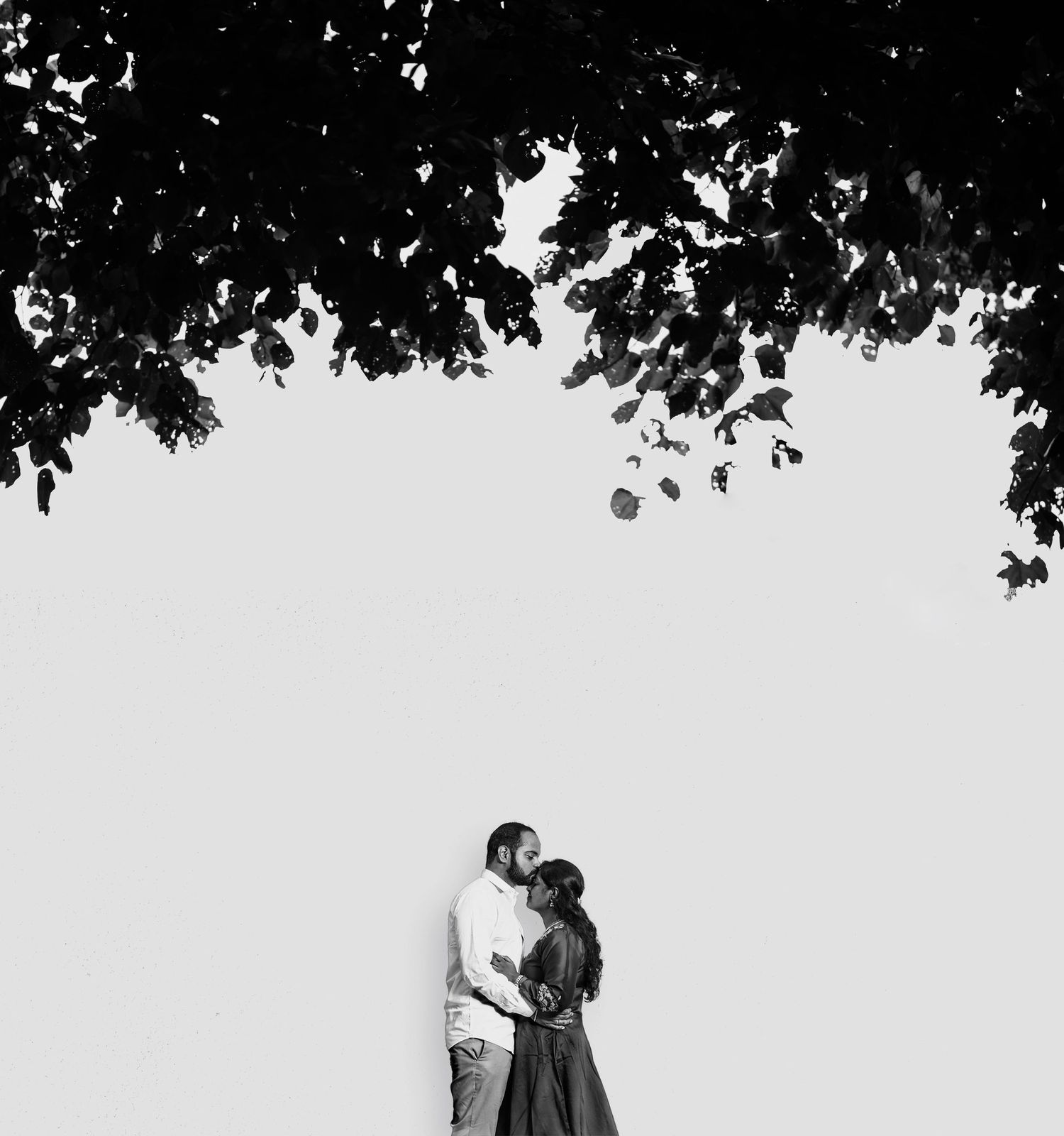 Romantic black and white silhouette of a couple under tree branches against a light background.