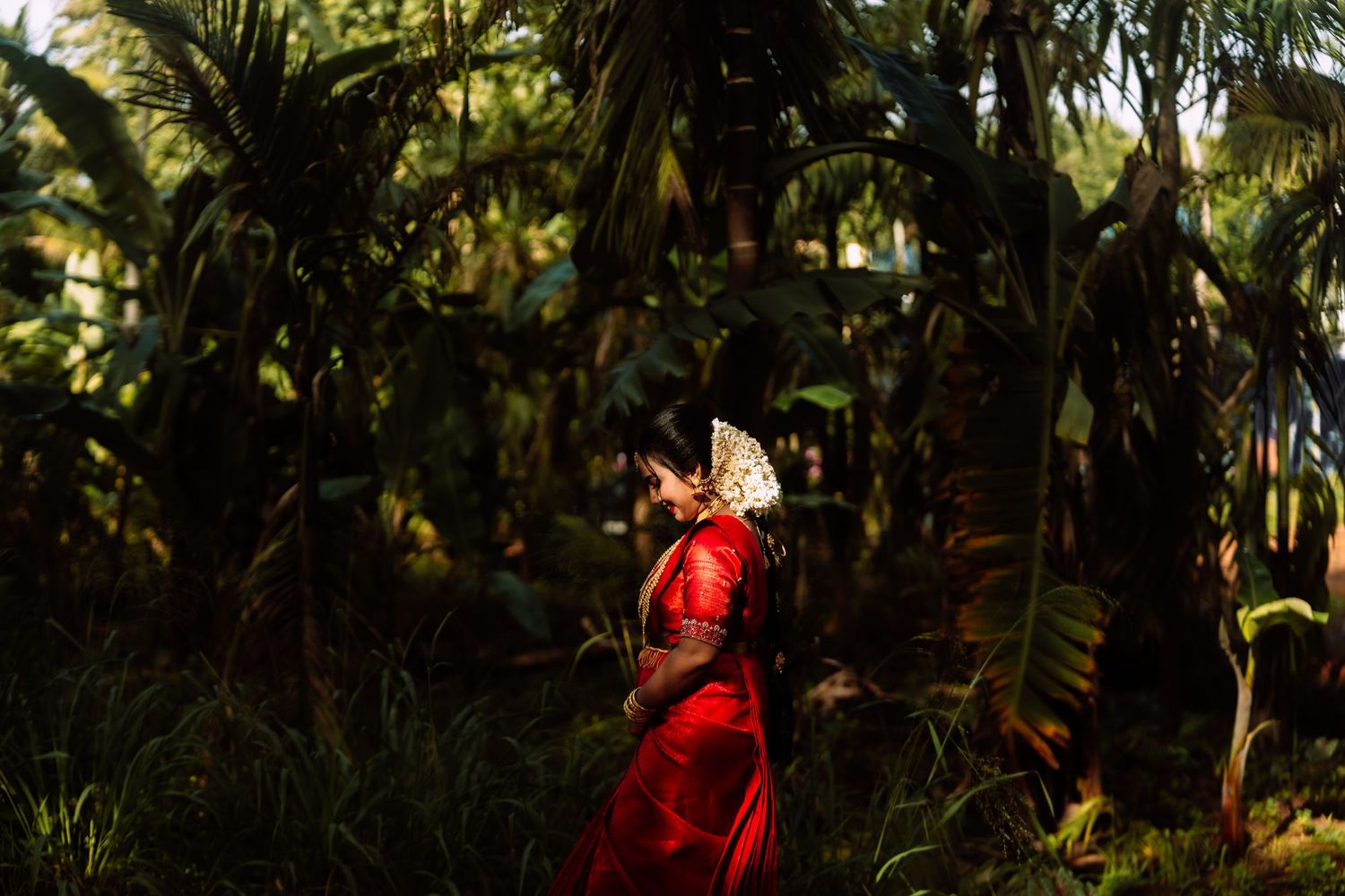 Vibrant red saree contrasts beautifully against lush tropical palm garden backdrop.