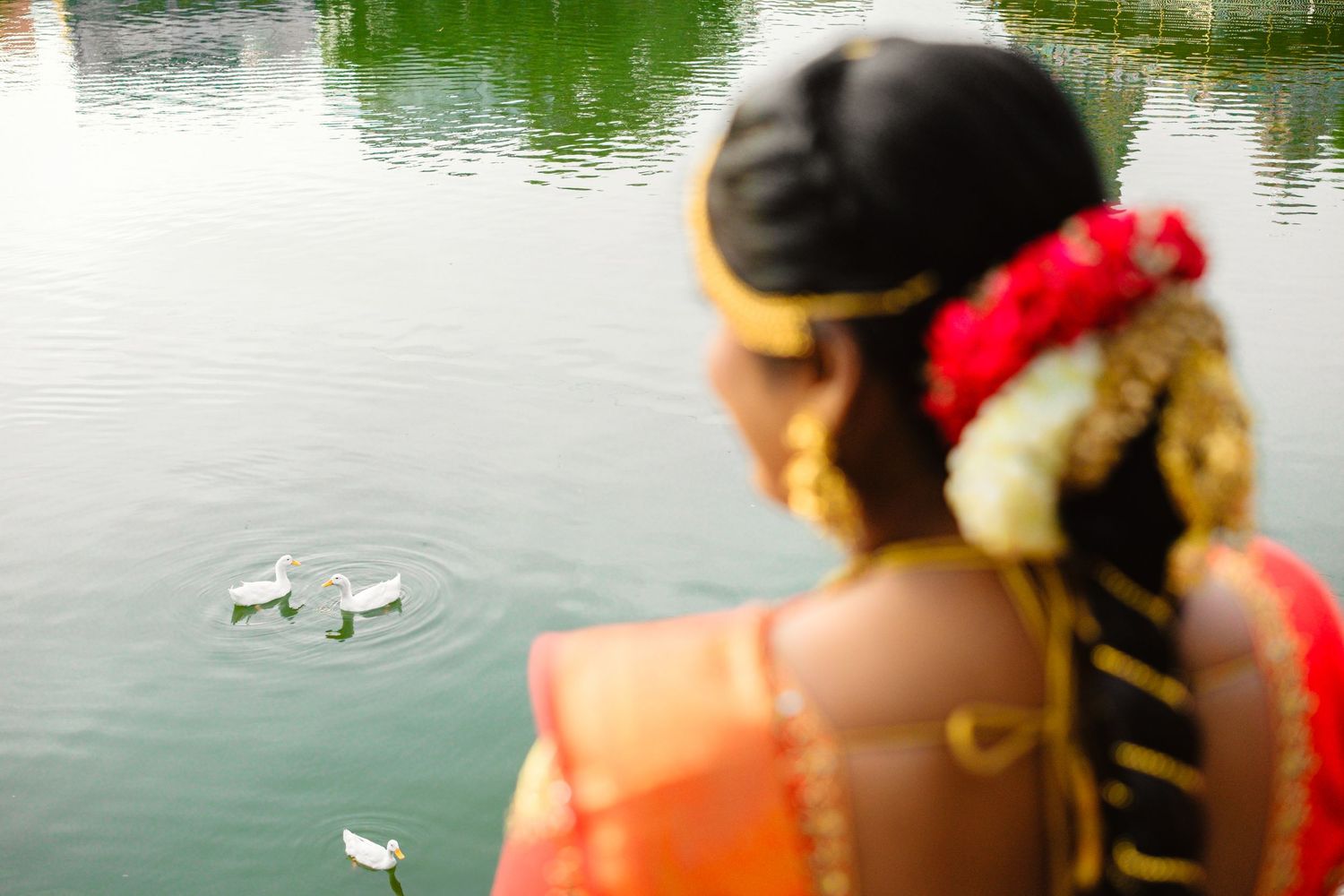 People in orange life jackets feed ducks from a wooden dock on a green lake.