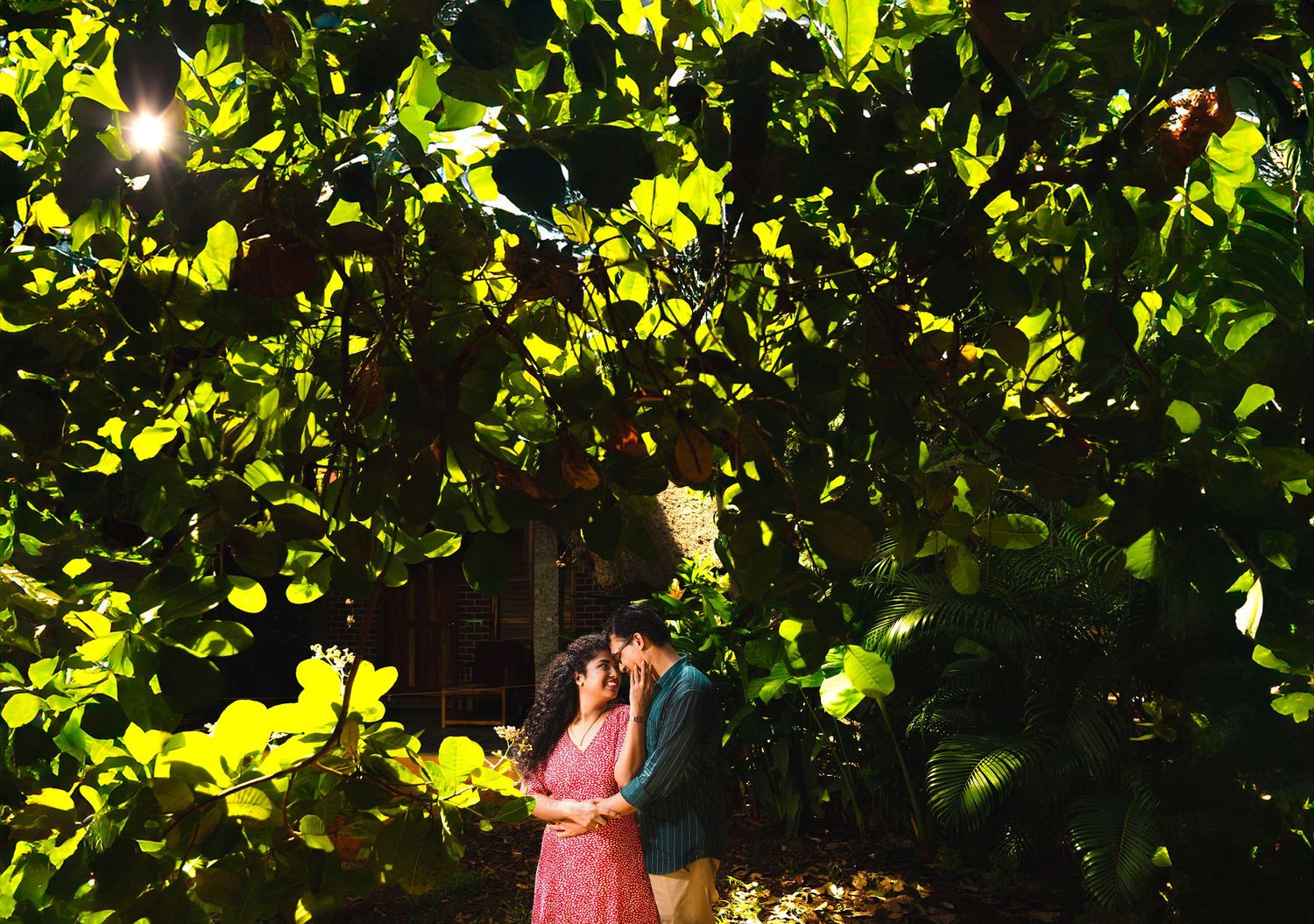 Couple embracing under green foliage with sunlight peeking through leaves.