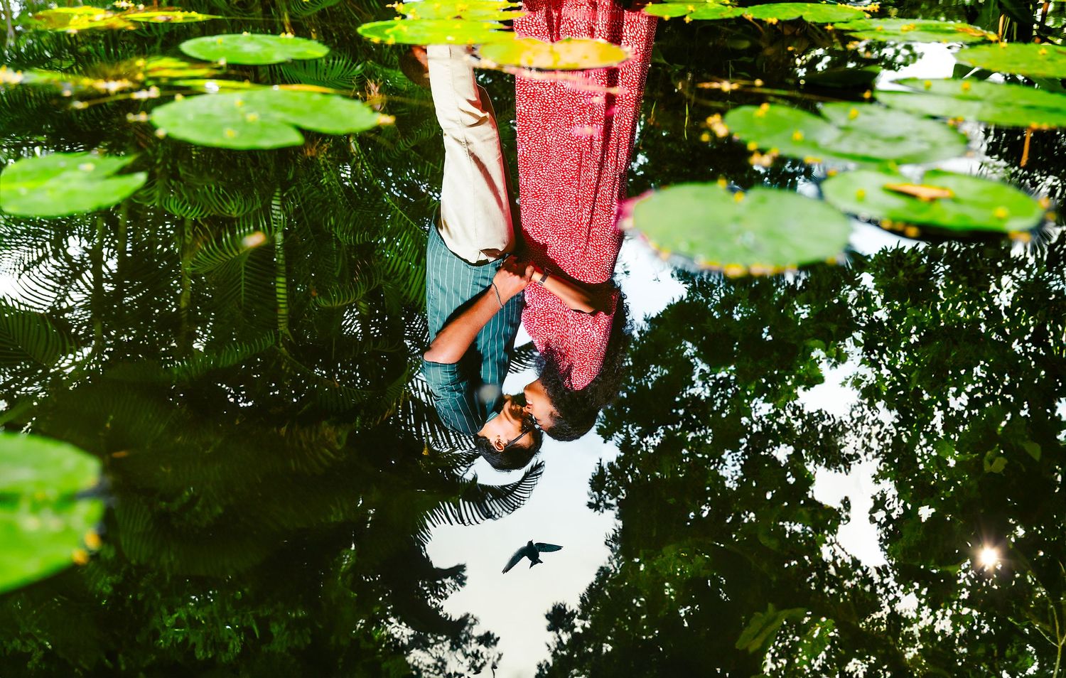 Creative reflection photo in pond water surrounded by lily pads.