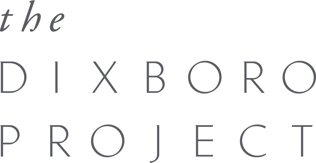 Minimalist text logo design spelling out 'THE DIXBORO PROJECT'.