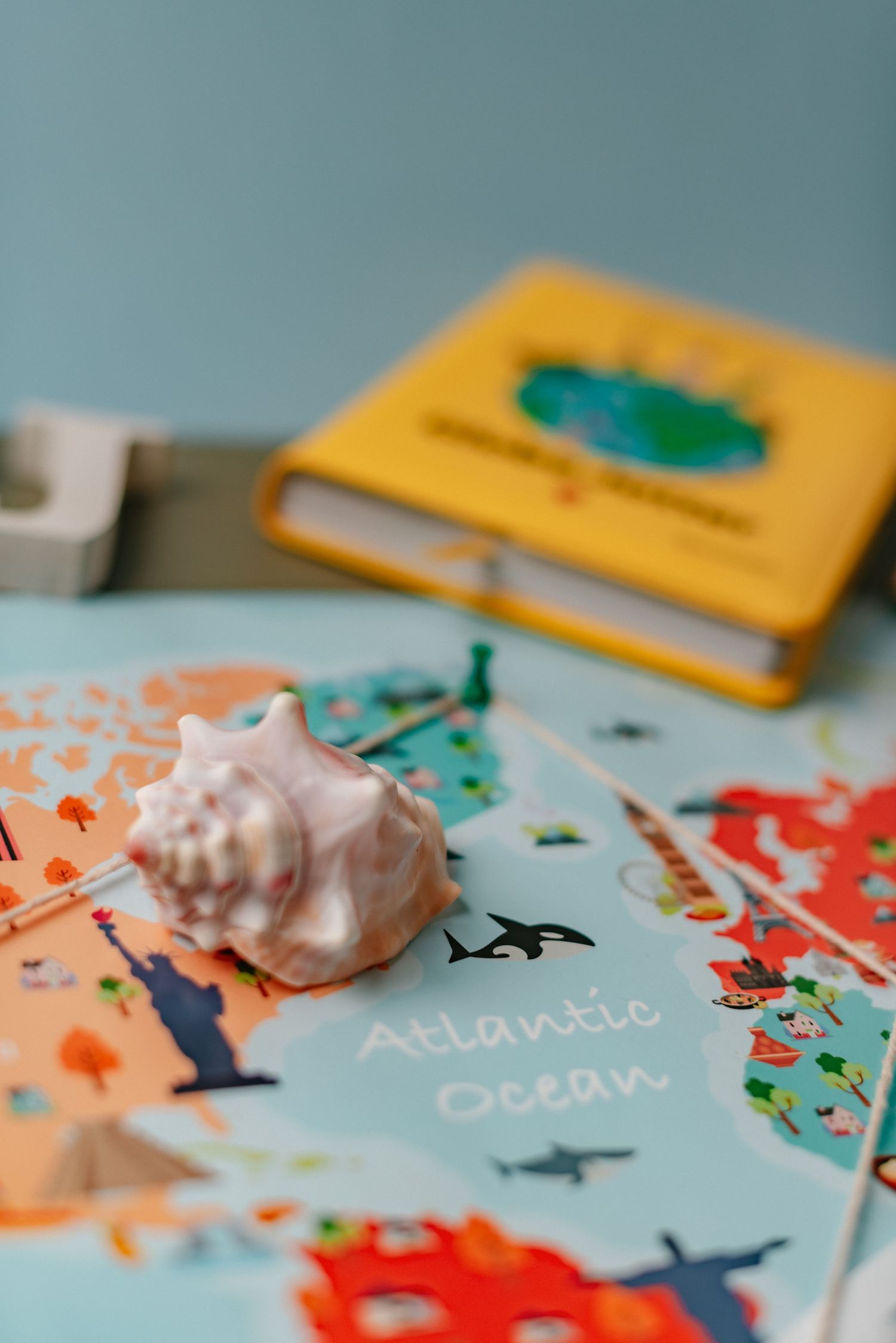close up photo of a periwinkle shell on a world map
