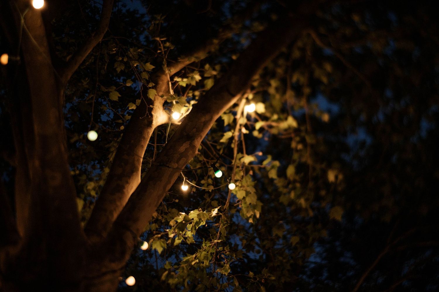 String lights illuminate a dark outdoor patio with trees creating a cozy nighttime atmosphere.