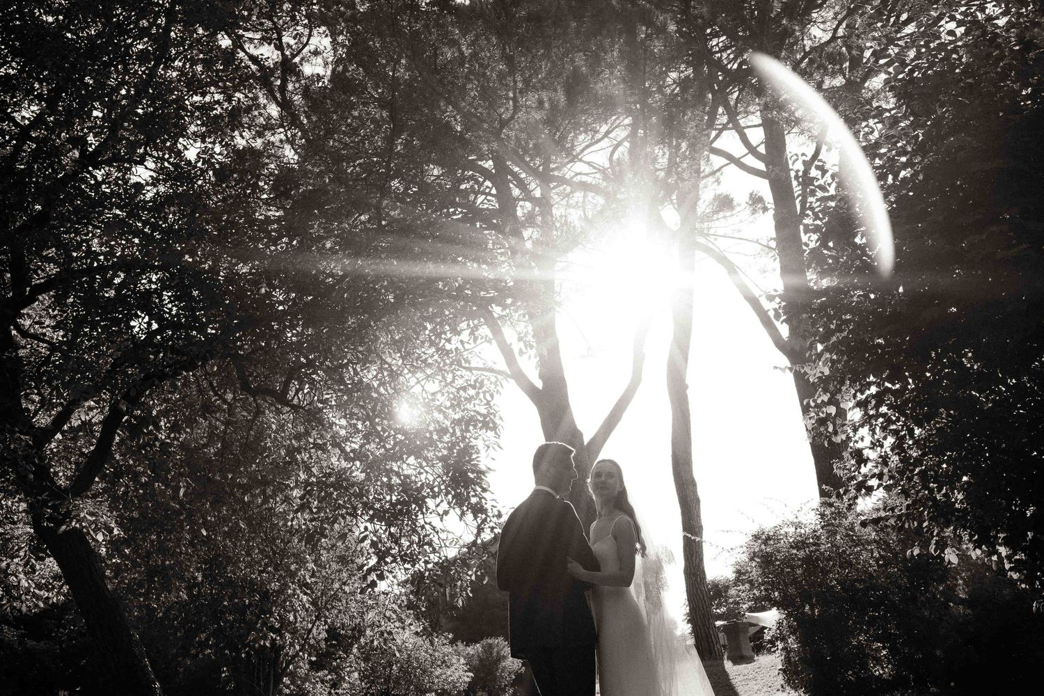 A silhouetted couple embraces in a sunlit forest with sunbeams streaming through the trees creating a magical atmosphere.