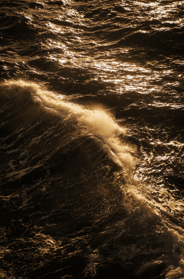 Sunlit ocean waves create a dramatic seascape with golden reflections rippling across dark turbulent waters.