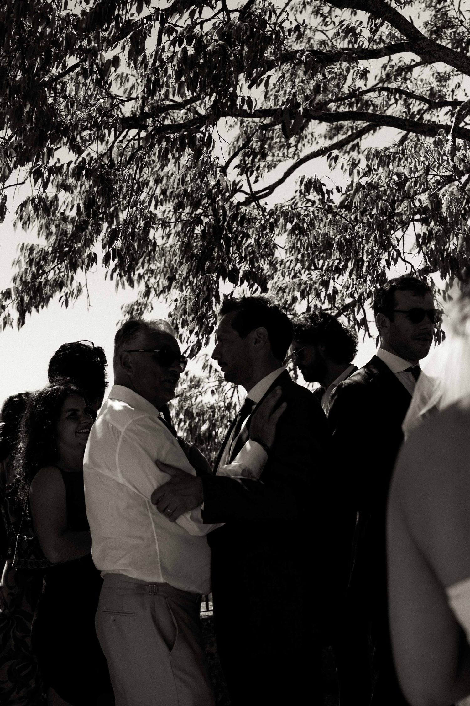 A sequence of black and white silhouettes showing couples dancing together under tree branches.