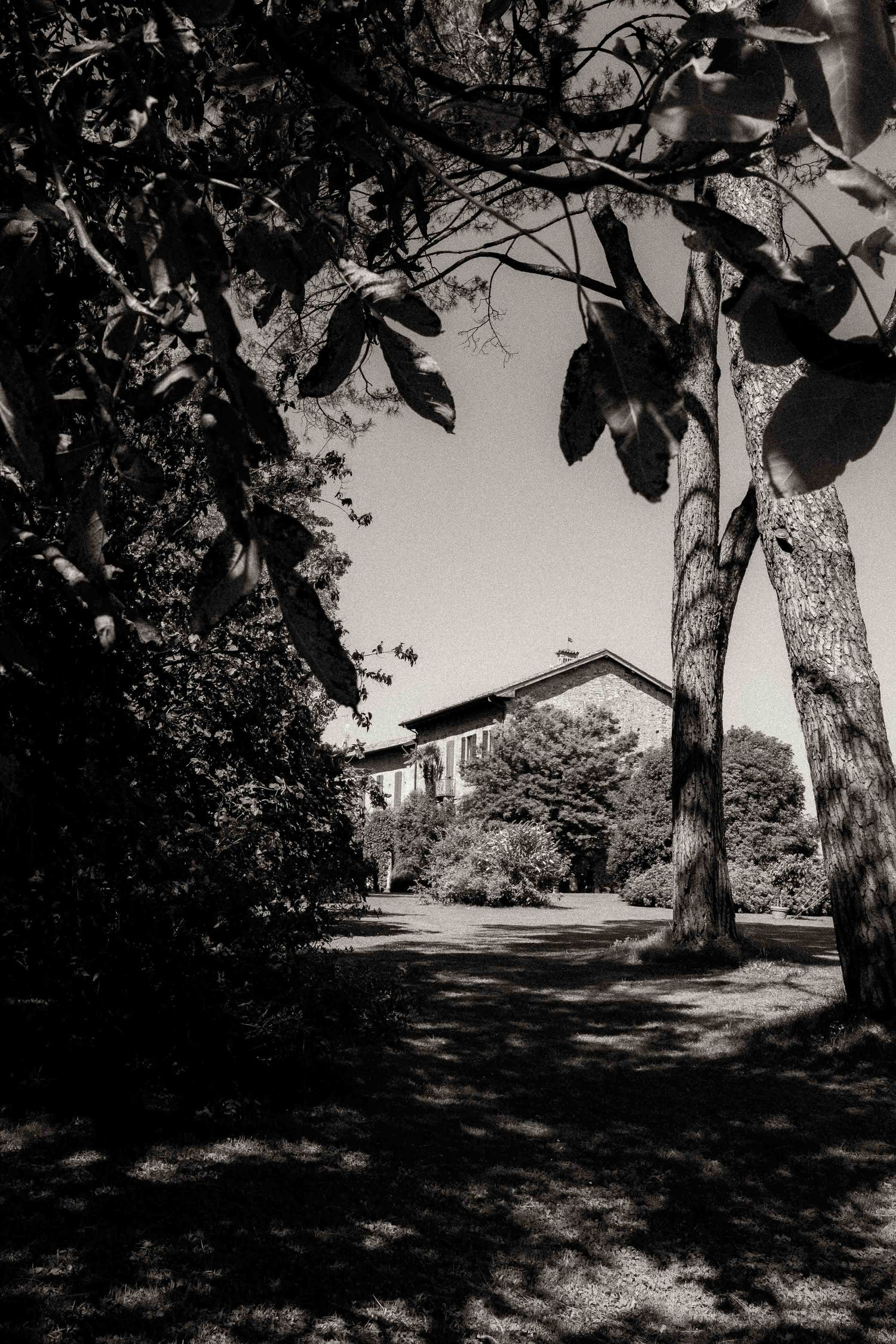 A series of black and white landscape photographs showing a winding path through trees casting dramatic shadows.