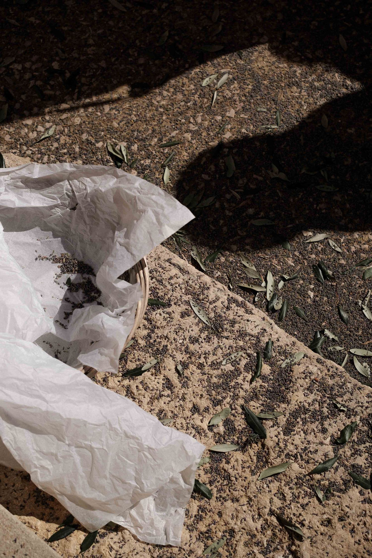 A crumpled white paper bag lies on rough ground casting dramatic shadows in natural lighting.