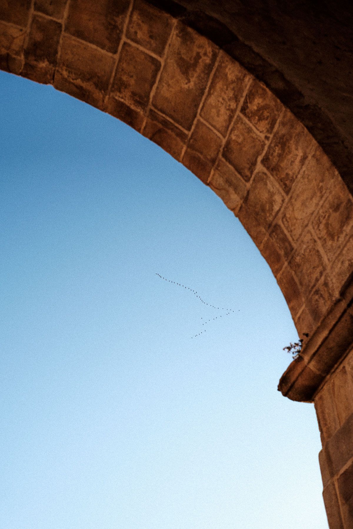 Stone archway frames a bright blue sky with birds flying in a minimalist architectural composition.