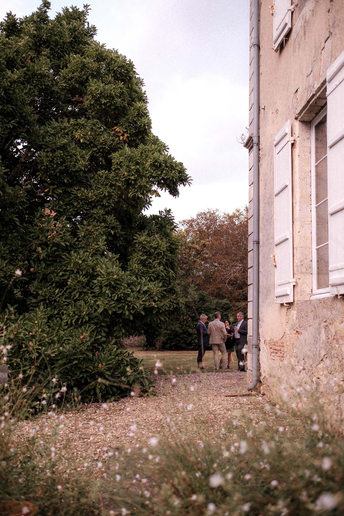 A sequence of outdoor shots showing a stone building exterior with trees and scattered white flowers in the foreground.