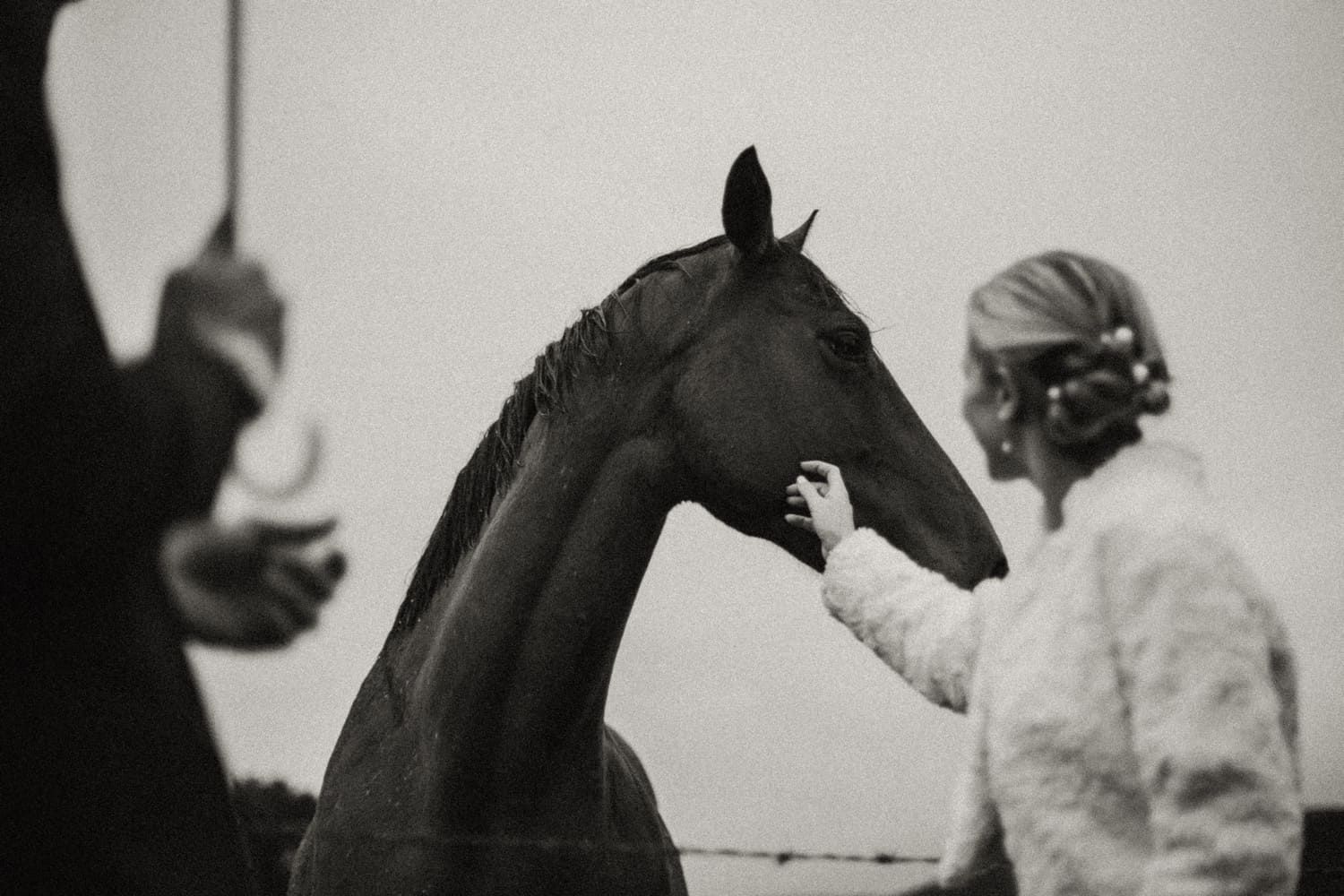Vintage black and white photograph showing people working with horses in an agricultural or farming setting.