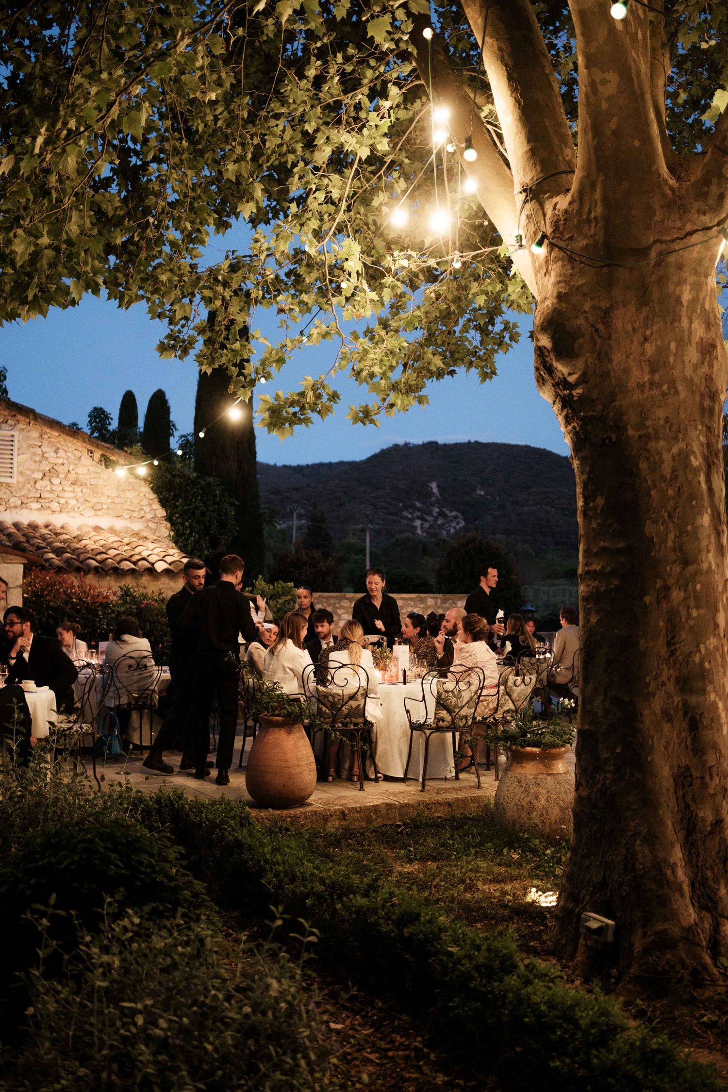 String lights illuminate an outdoor evening gathering under tall trees with mountains visible in the background.