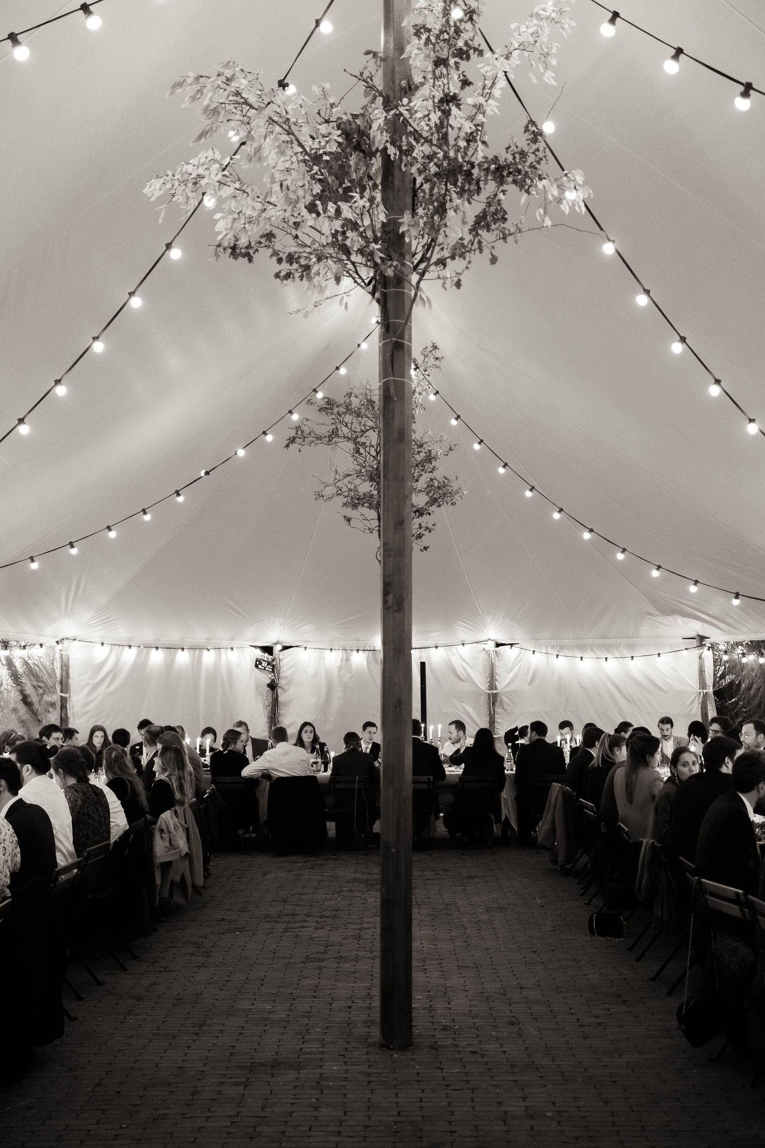 String lights create a magical canopy over a tented wedding reception space filled with guests in black and white.