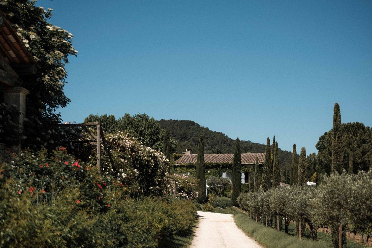A winding gravel path leads through a scenic Tuscan countryside with cypress trees and villas dotting the landscape.