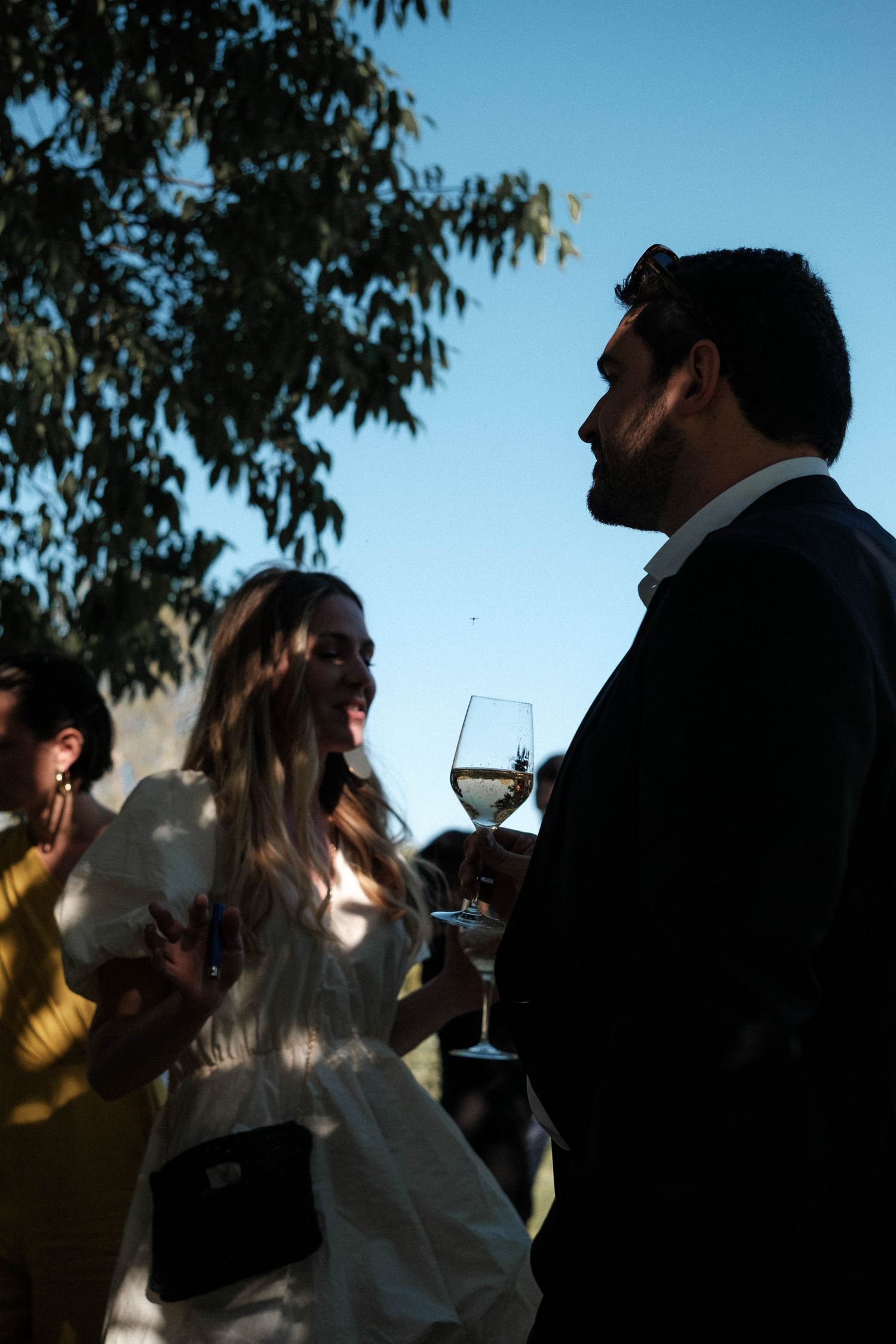 Silhouettes of people drinking wine outdoors against a blue sky with tree branches overhead.