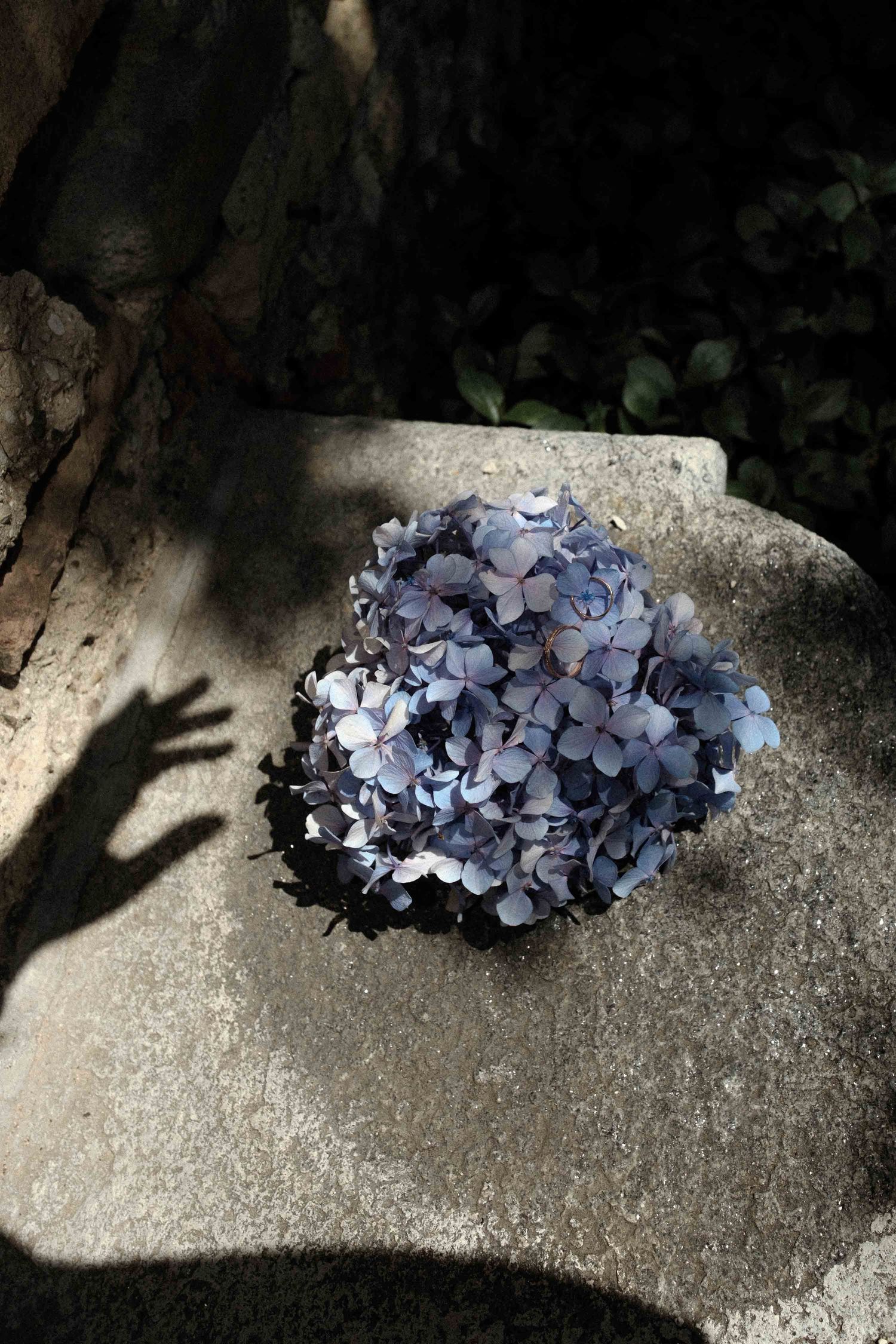 A cluster of light purple hydrangea flowers resting on a concrete surface with dramatic shadow cast.