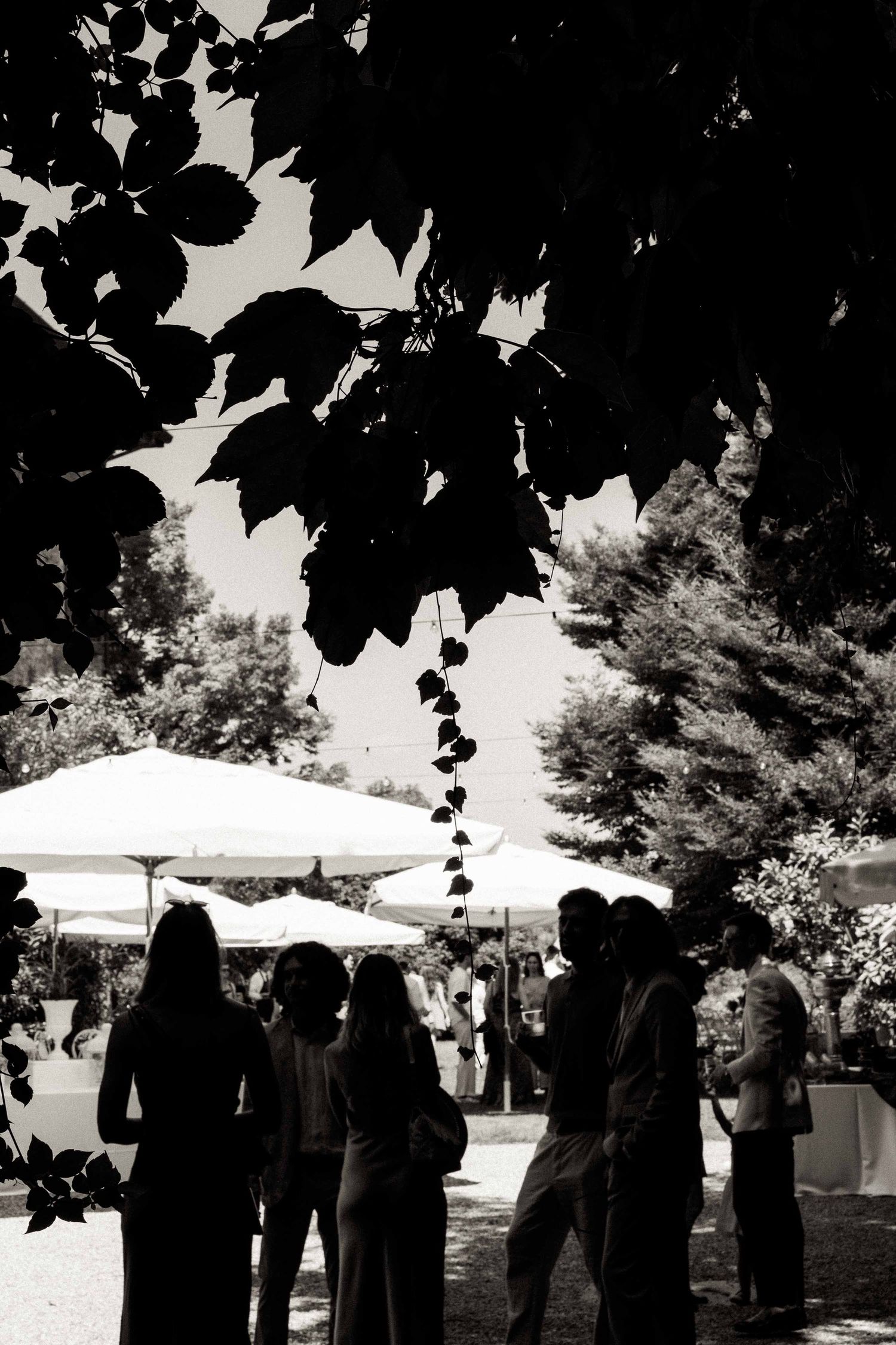 Silhouetted figures gather under white canopy tents at an outdoor event with trees visible in the background.
