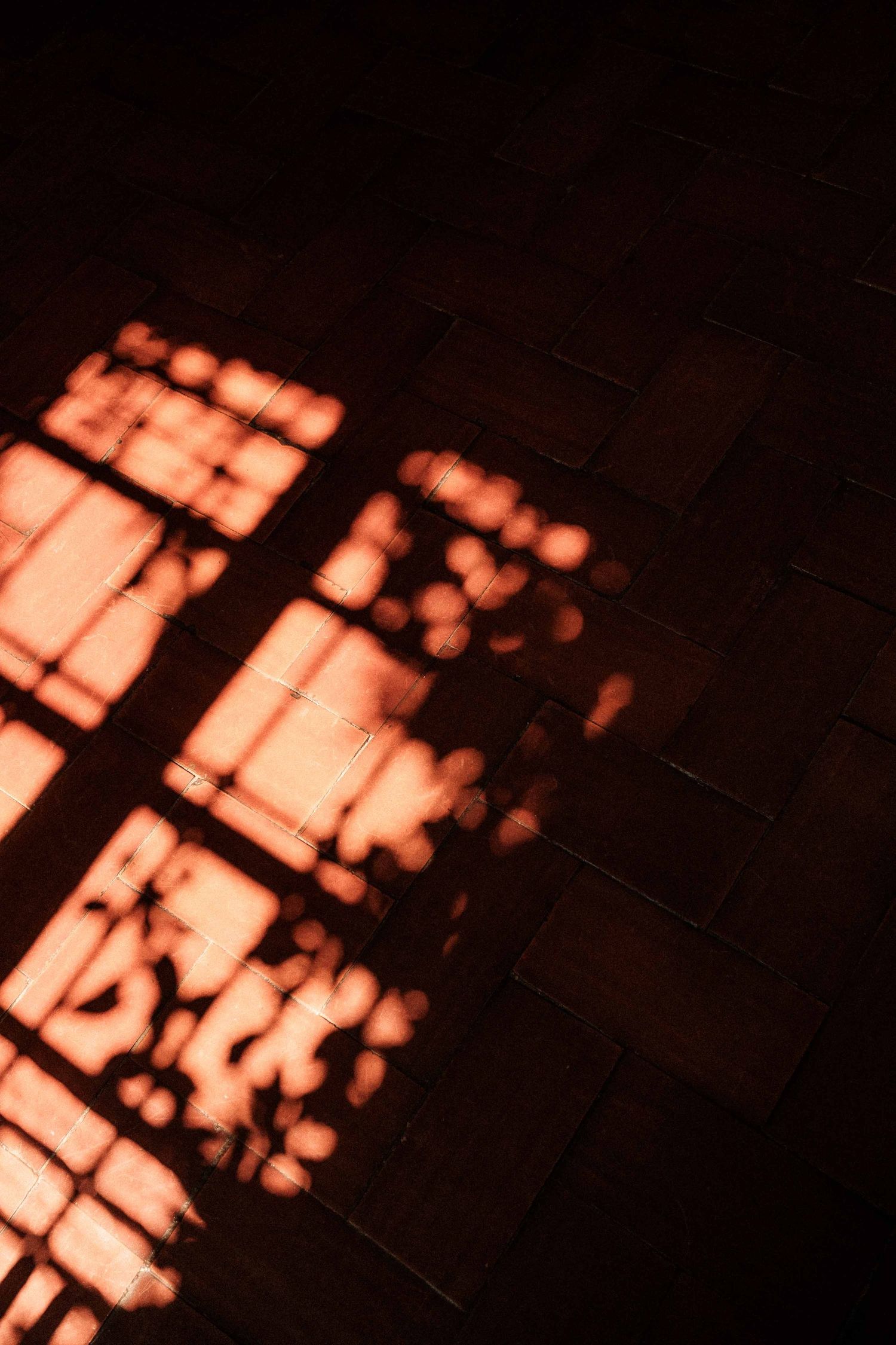 Sunlight streaming through window blinds creates dramatic orange shadows and geometric patterns on a dark surface.