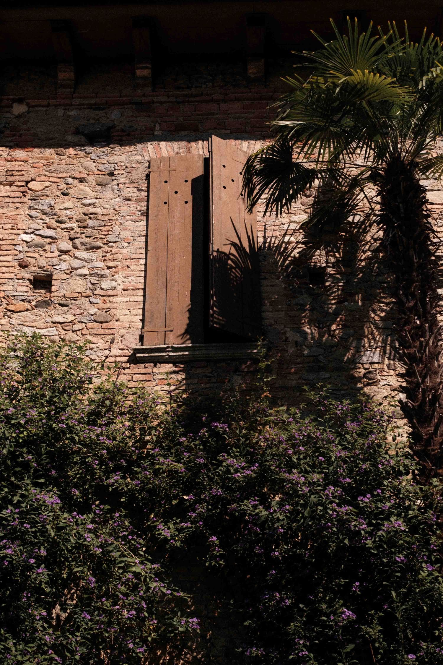 Stone wall with wooden shutters and palm trees creating a Mediterranean garden atmosphere in natural lighting.