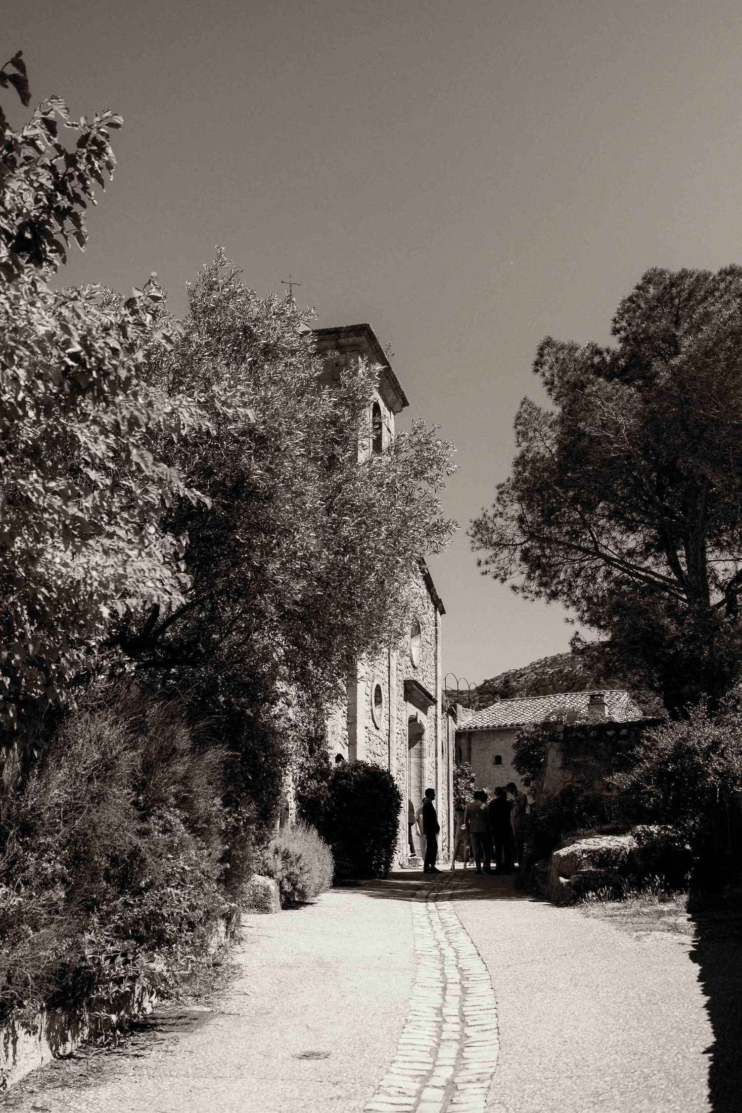 A curved cobblestone path leads to a rustic villa surrounded by trees and greenery in black and white.