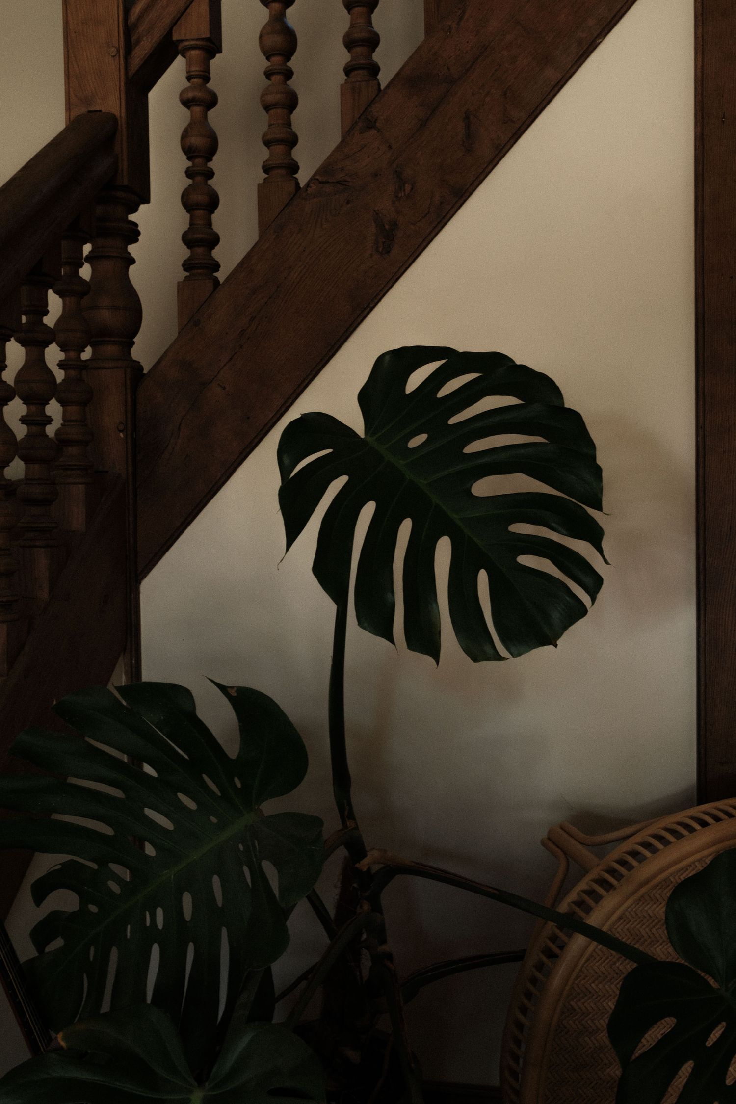 Dark wooden staircase banister with decorative spindles contrasts against a white wall and tropical monstera plant leaves.