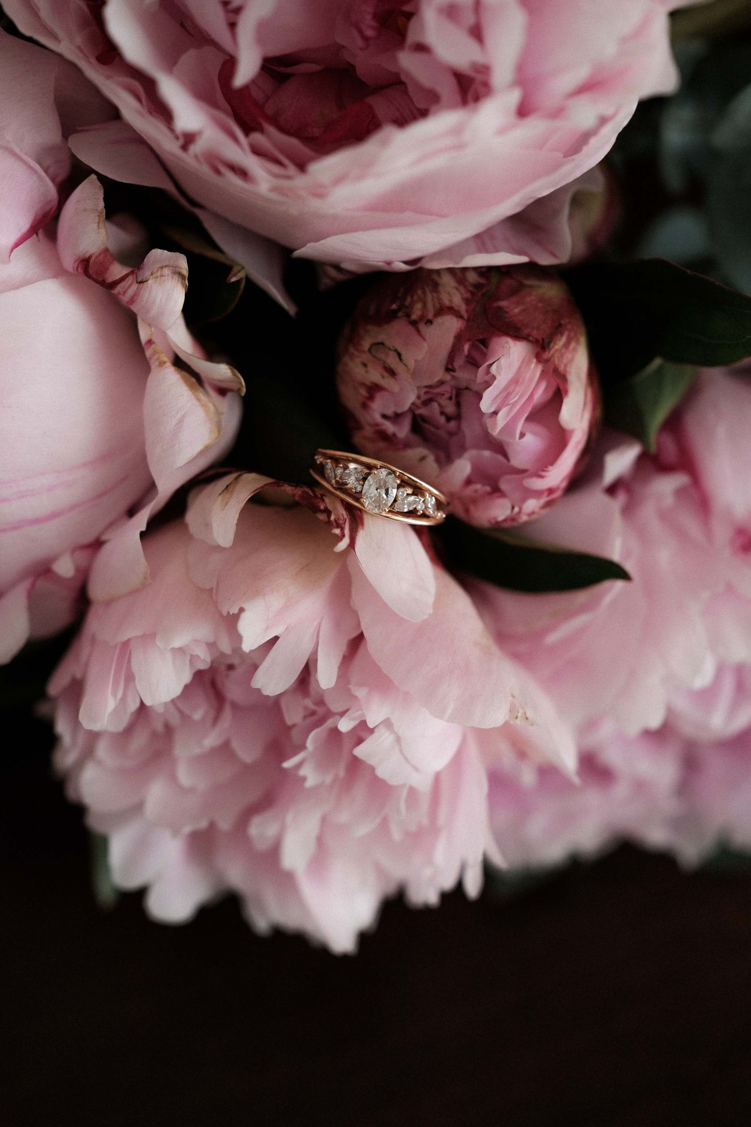 Close-up of delicate pink carnations with ruffled petals against a dark background creating a romantic mood.