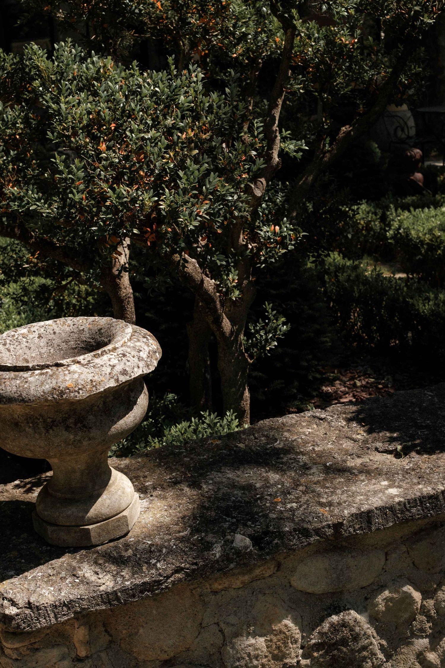 Stone garden urn beside twisted olive trees in a sunlit Mediterranean courtyard.