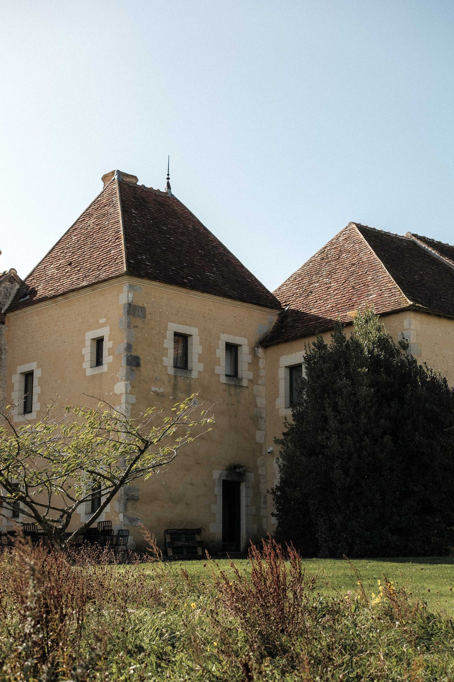 Historic French countryside manor houses with tiled roofs stand amid overgrown gardens and wild vegetation.