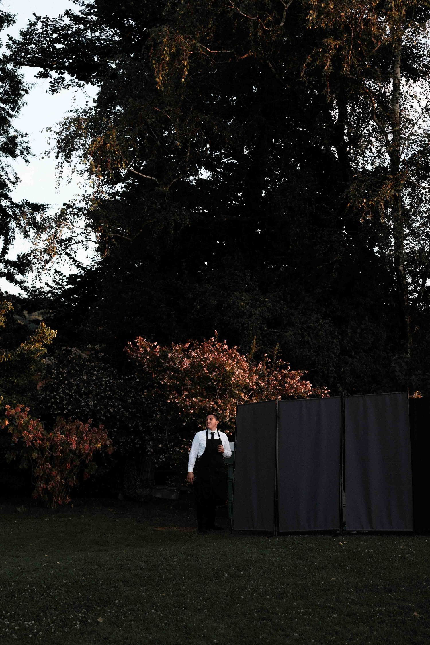 A dark silhouette of trees and structures against a dusky sky with autumn foliage visible in the background.