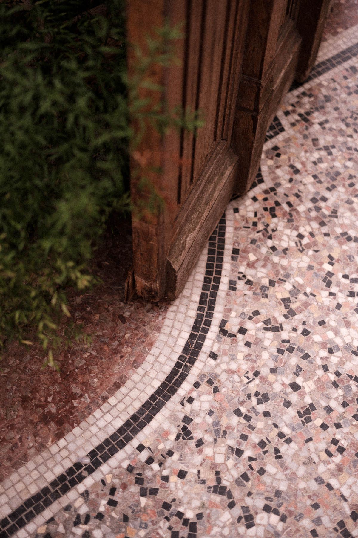 Decorative mosaic tile pathway with a curved black border pattern against a wooden fence in an outdoor garden setting.