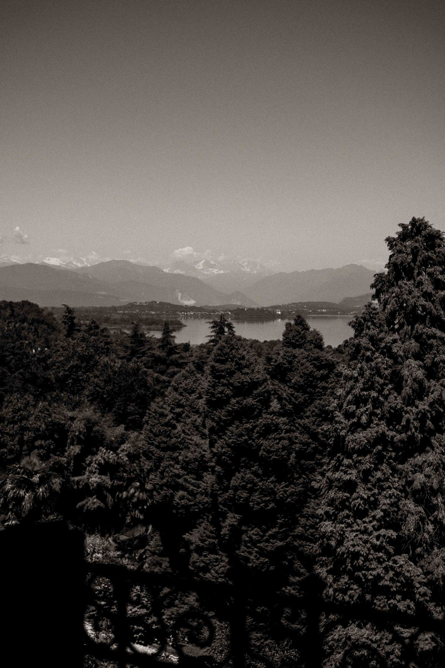 A panoramic black and white mountain landscape with trees in the foreground and misty peaks in the distance.