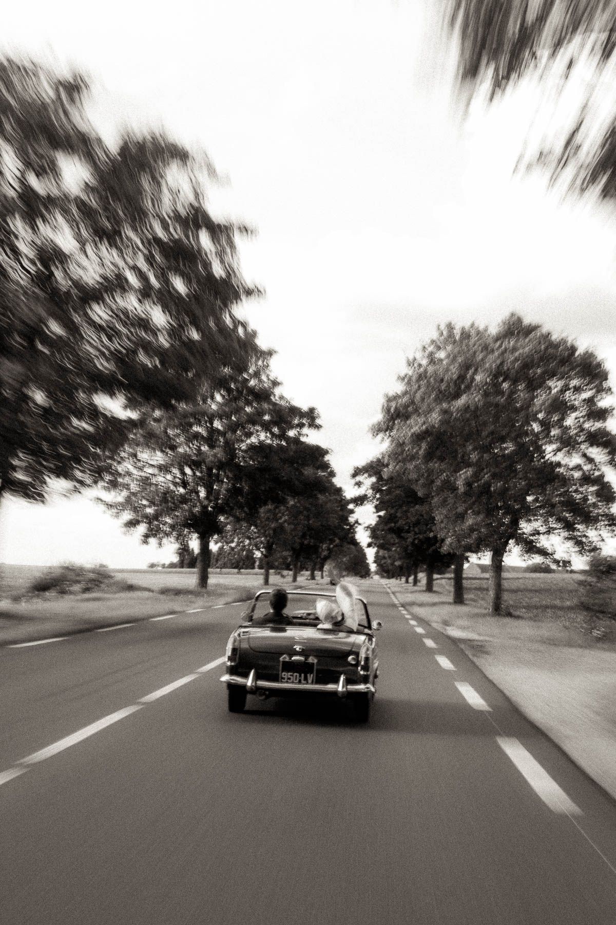 A series of black and white photographs showing a classic car driving down a tree-lined road.