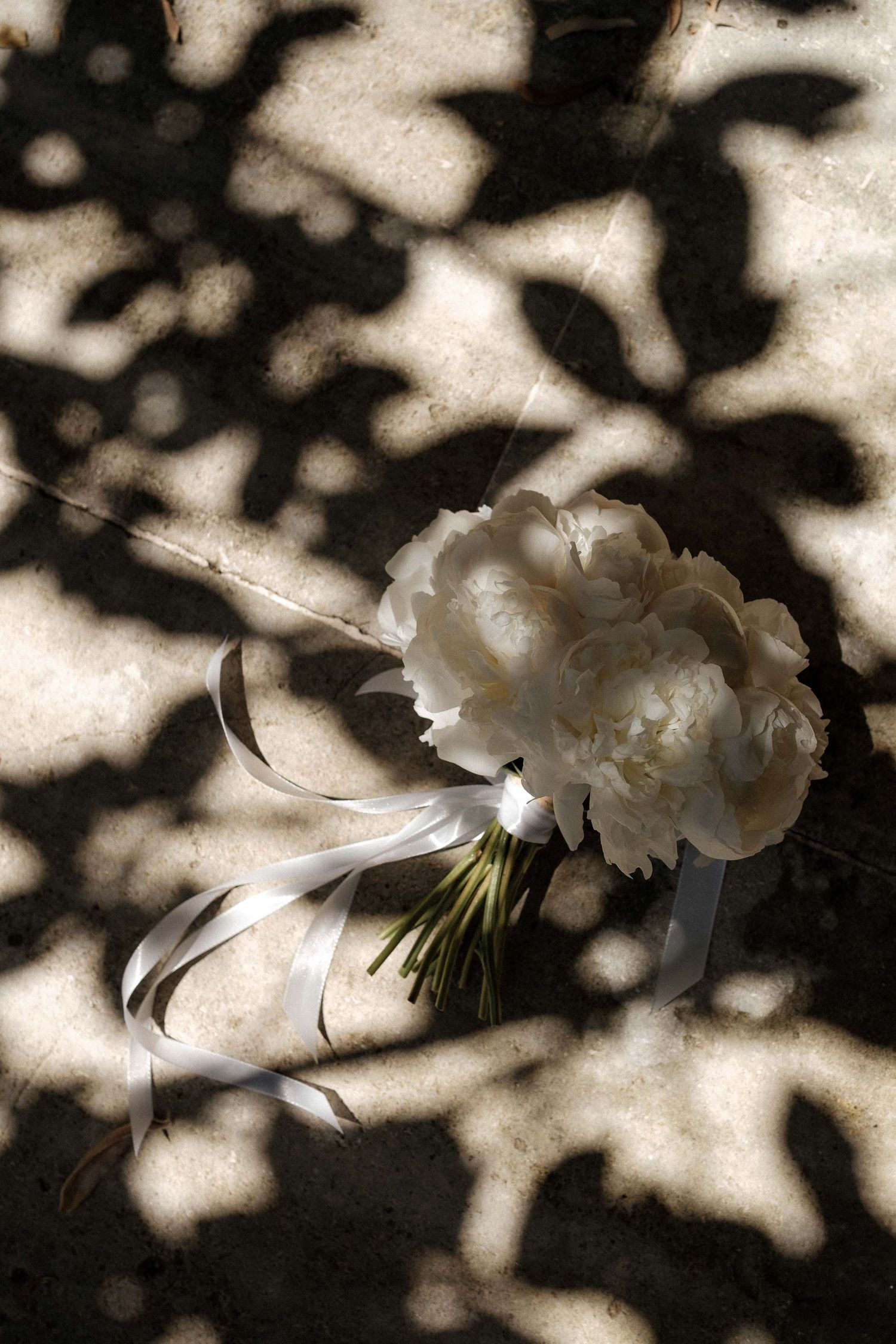 White carnation flowers casting dramatic shadows on a light background in a moody artistic composition.