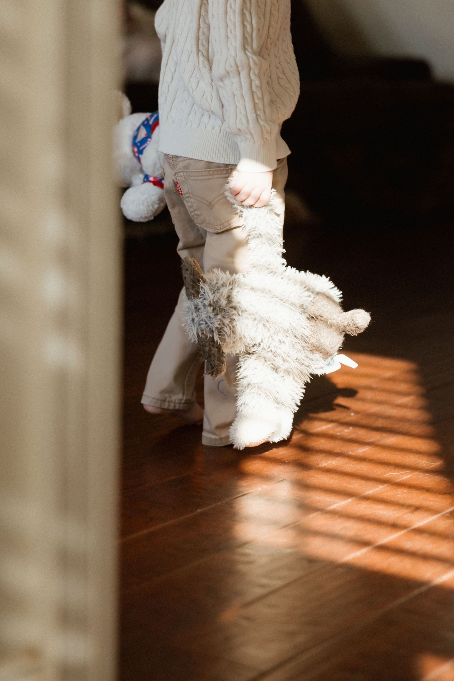 Toddler walking on hardwood floor in sunlight, carrying a fluffy white stuffed animal toy.