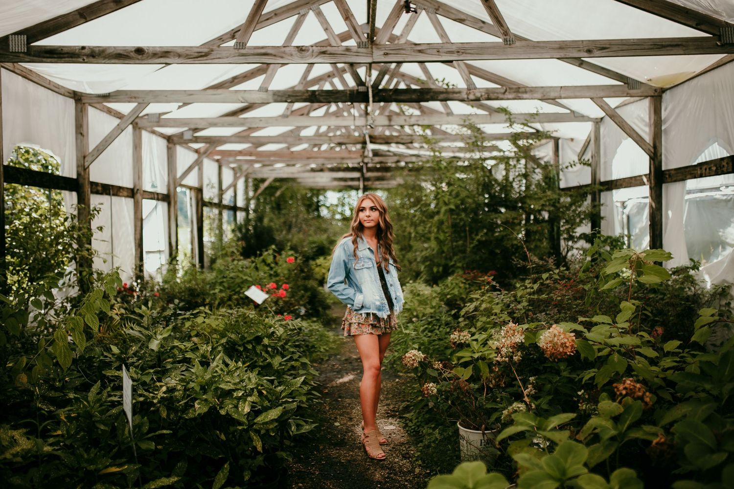 Young woman in denim jacket walks through a sunlit greenhouse filled with colorful blooming plants.