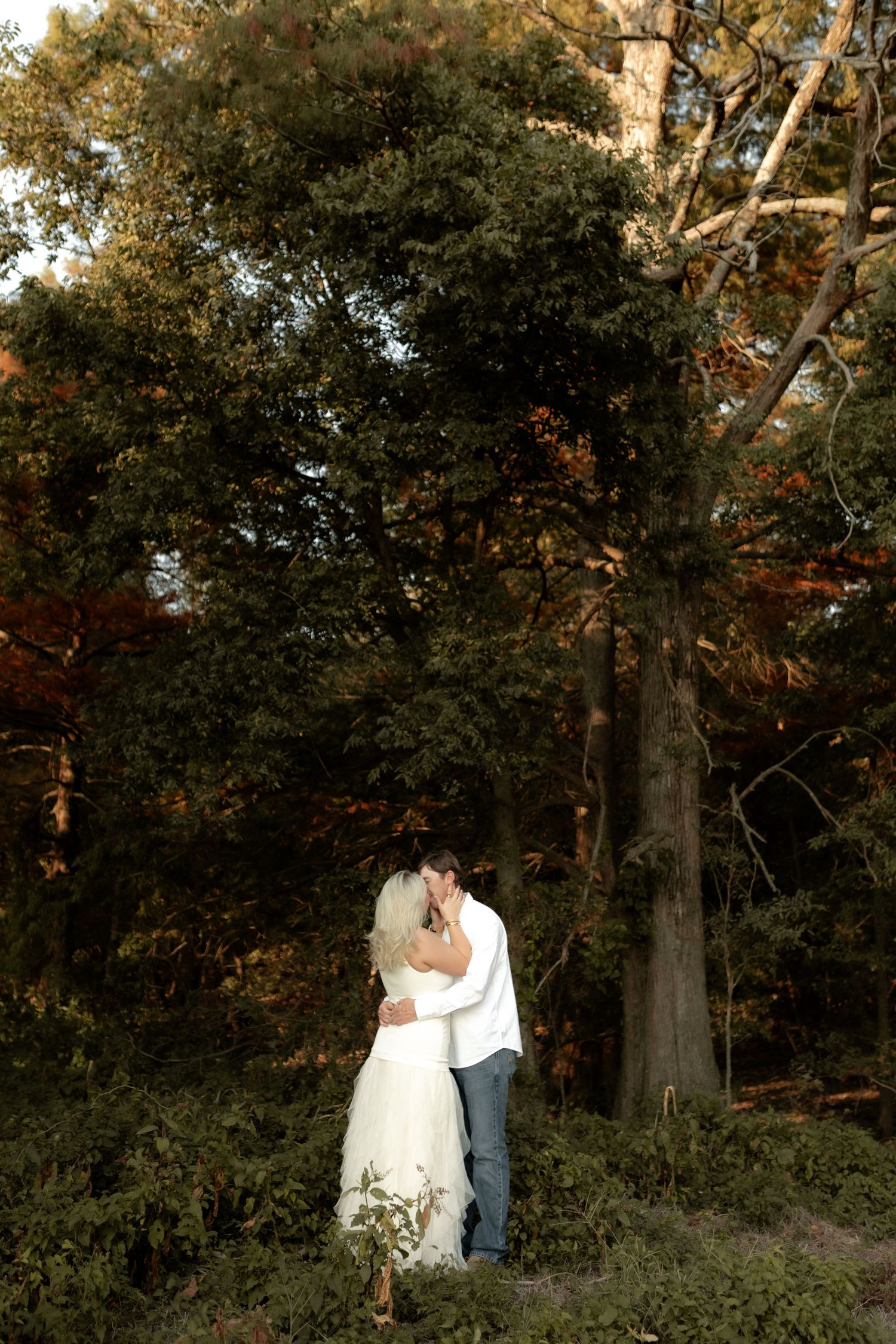 Bride and groom sharing a romantic kiss surrounded by tall trees in golden light.