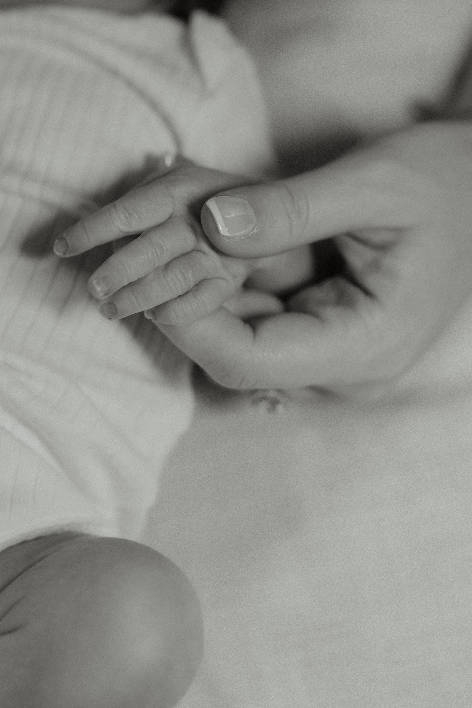 Close-up black and white photo of adult hand gently holding tiny newborn baby fingers.