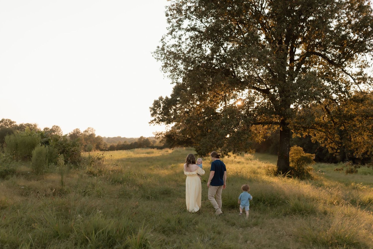 Family of four walking toward large oak tree in golden meadow at sunset, mother in yellow dress.