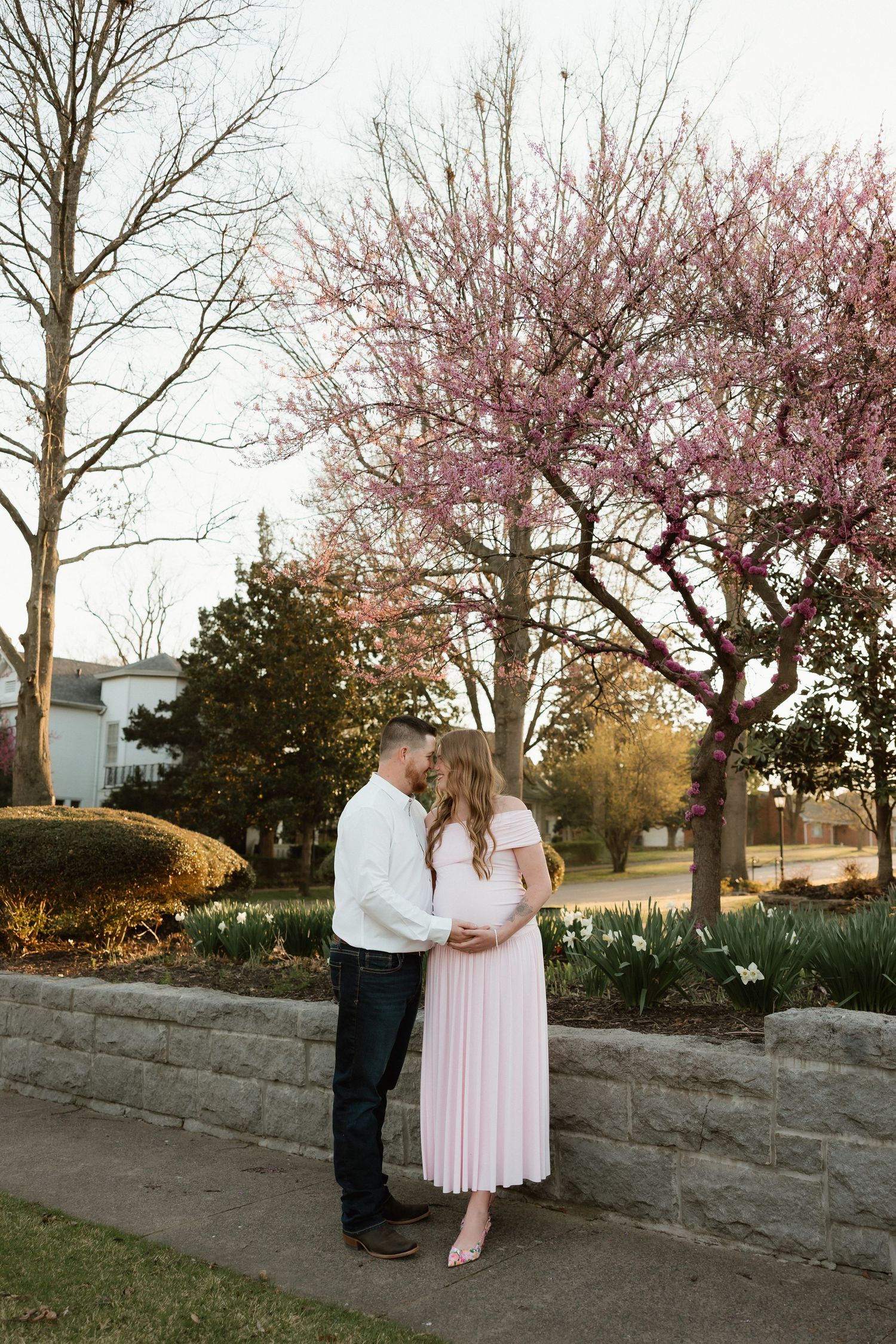 Couple sharing a romantic kiss while cradling a baby bump in front of a blooming pink cherry blossom tree.